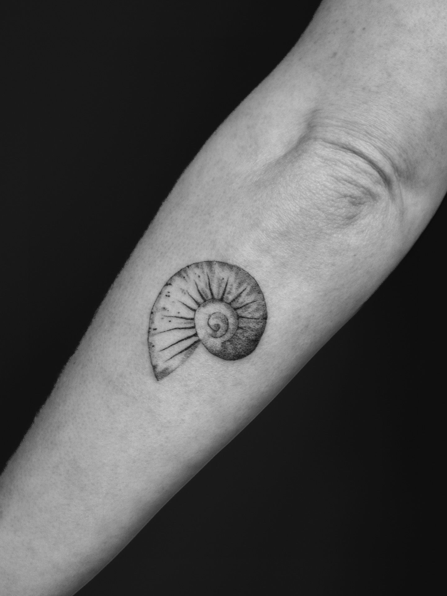 schneckenhaus on Forearm by studio knut’s in Weimar