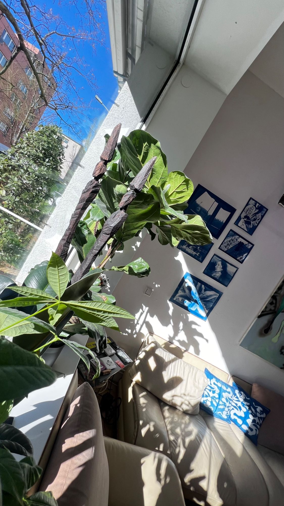 Studio photo - Lerchvin