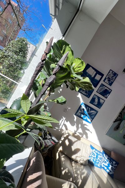 Studio photo - Lerchvin