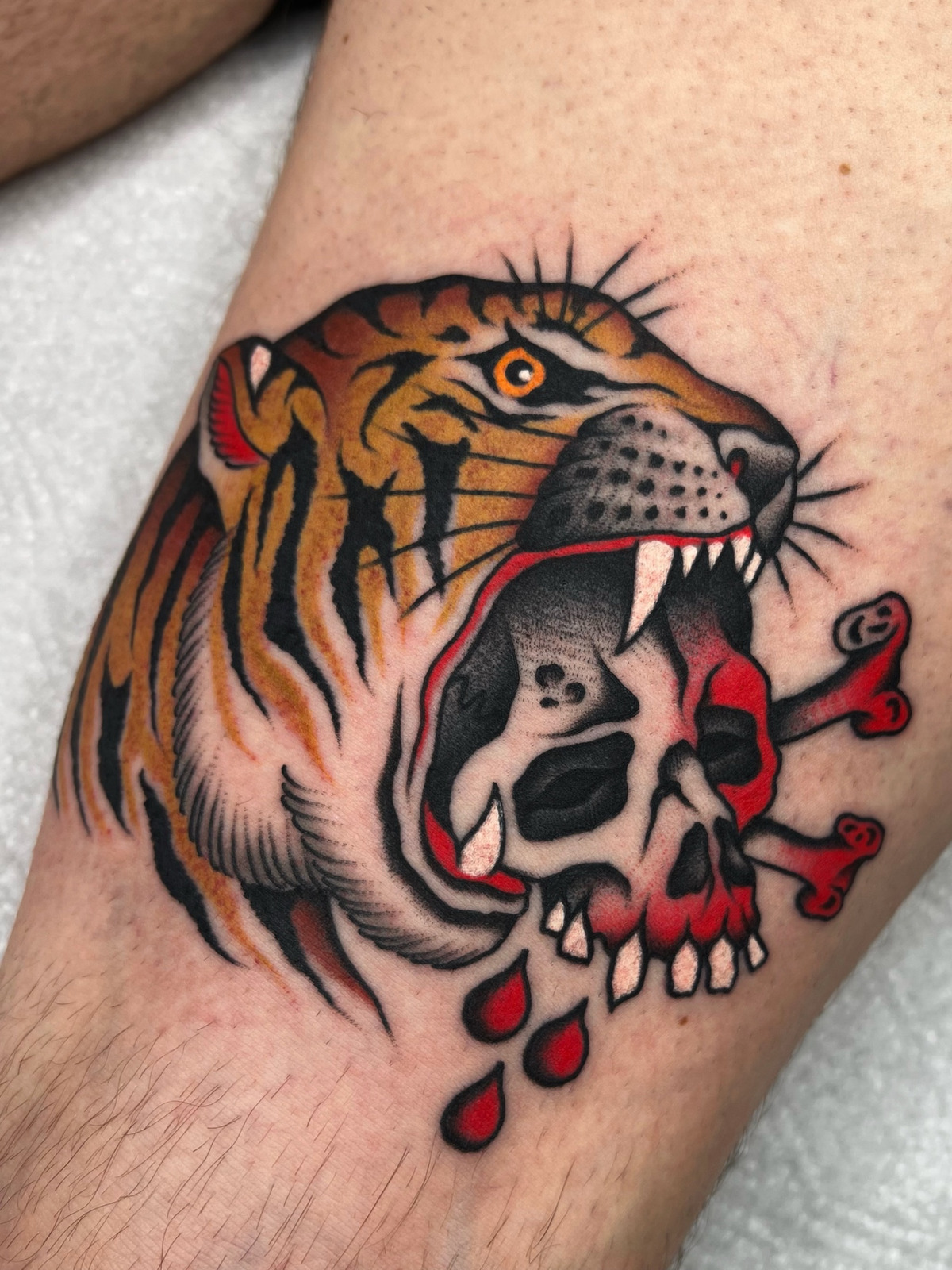 Tiger skull im Oldschool, Traditional Style auf Oberschenkel von Xaver Kettenberger in 83308