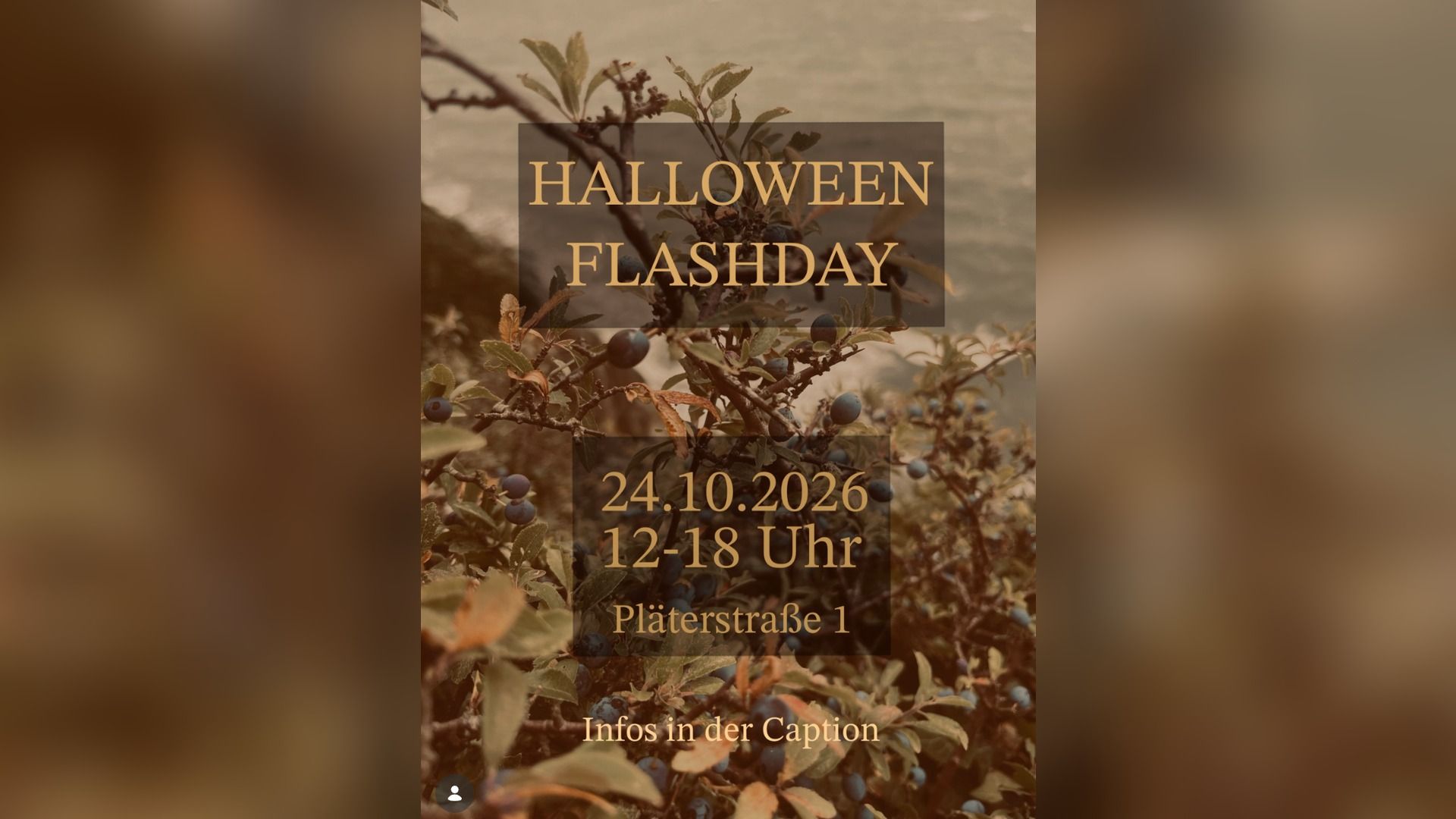 Halloween Flashday