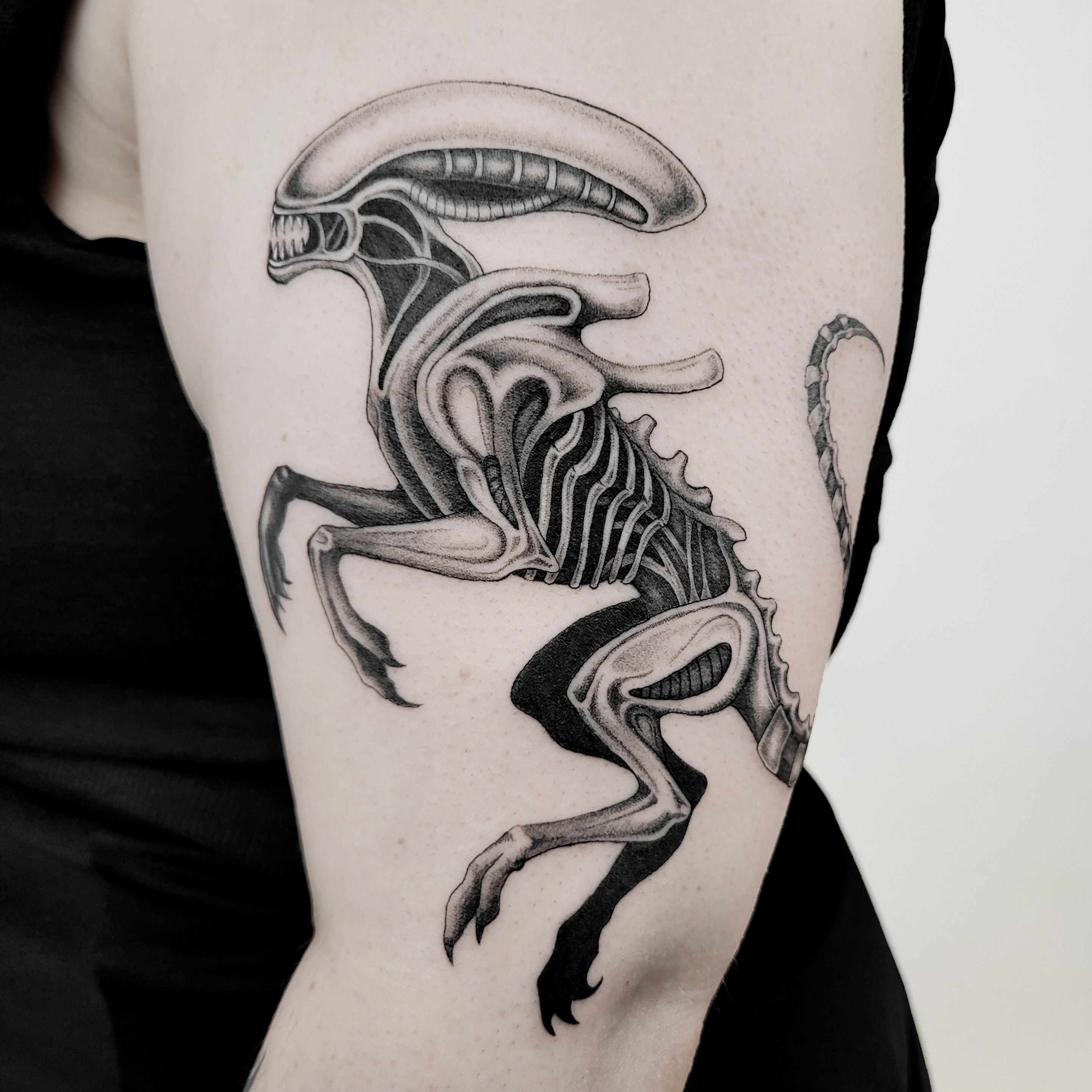 HR Giger Alien im Fineline Style auf Oberarm von Vivacervato in Leipzig