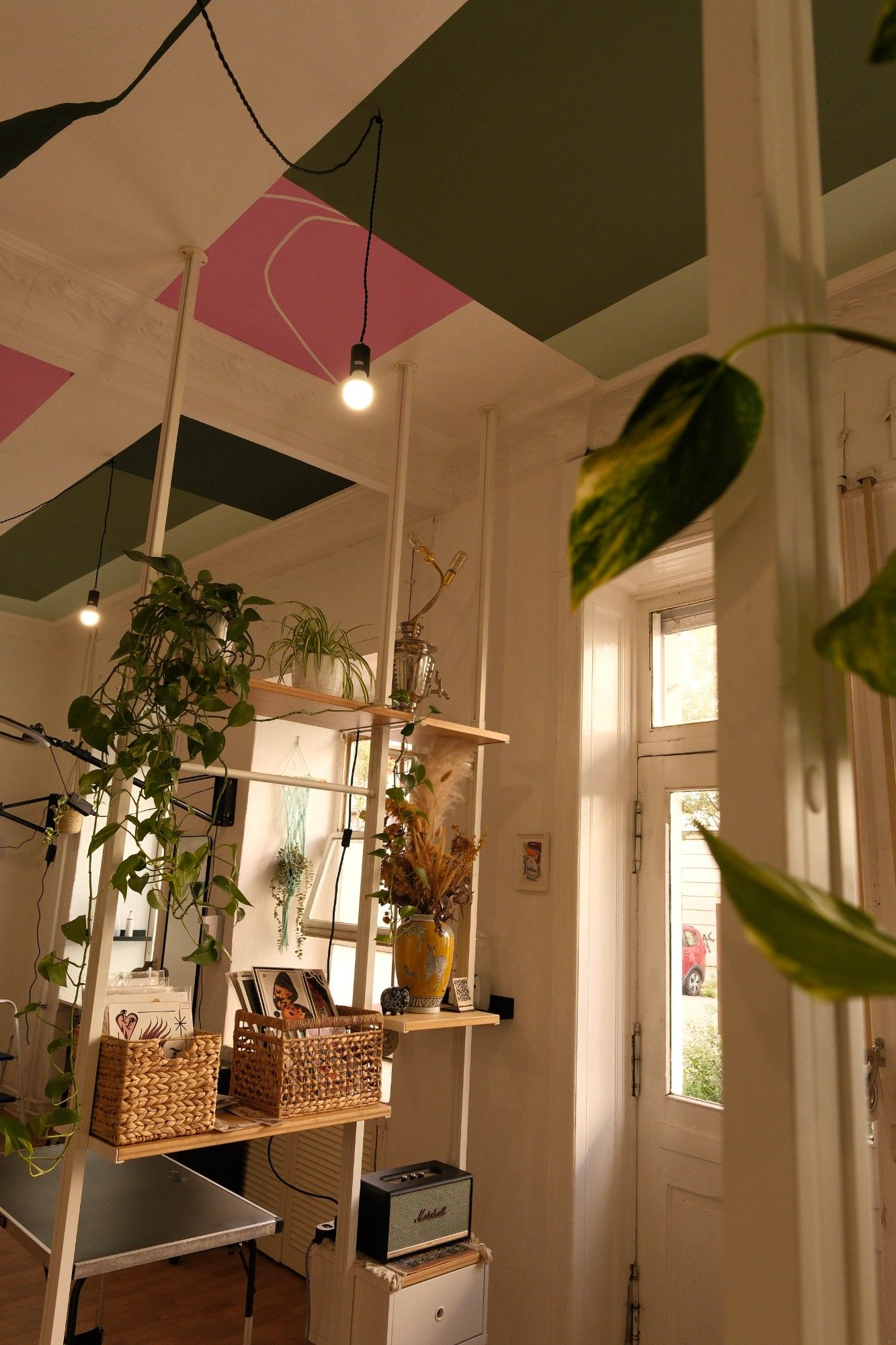 Studio Foto - Sera Redwood