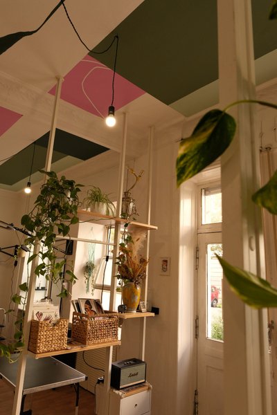 Studio photo - Sera Redwood