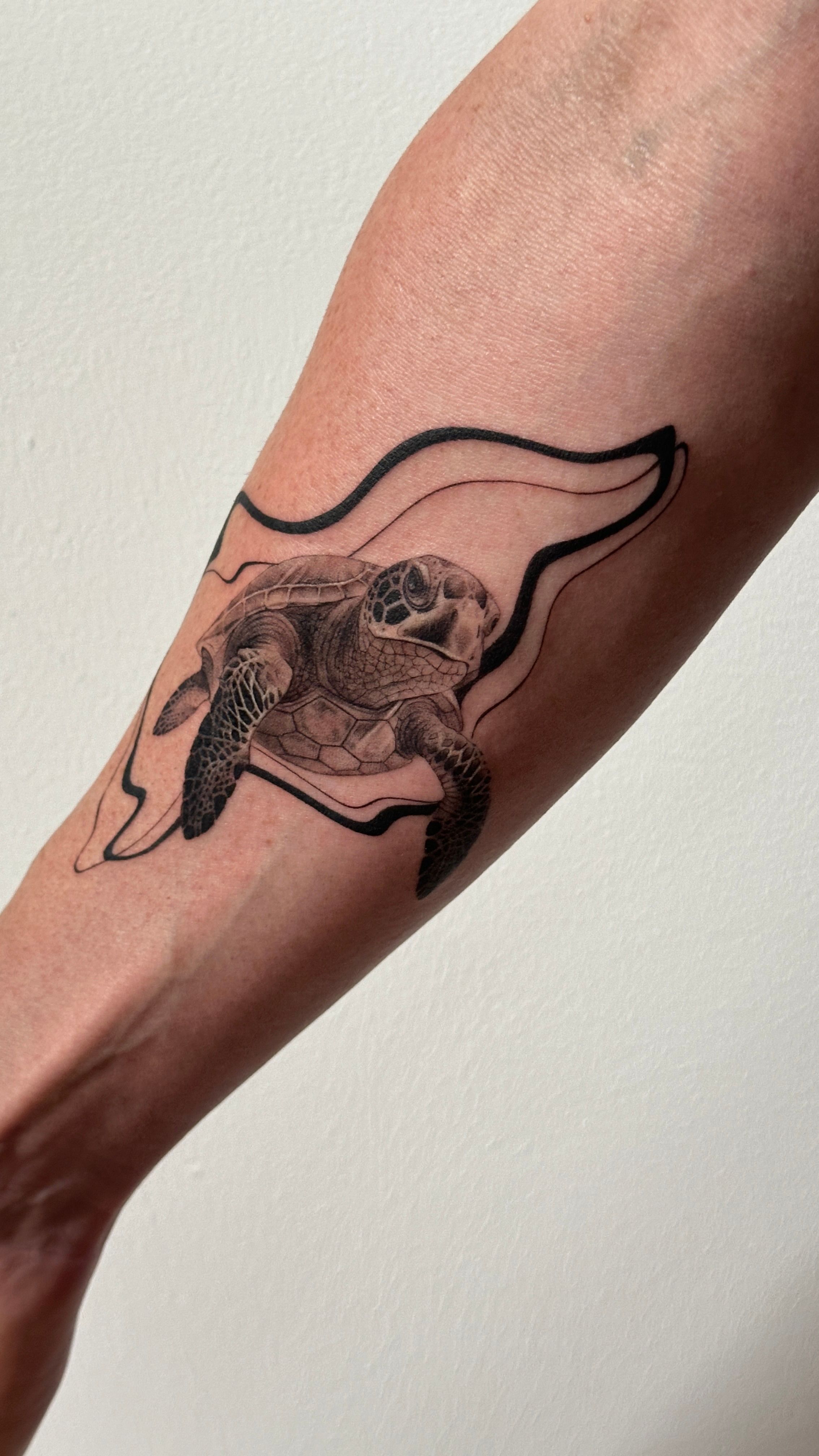 Schildkröte im Microrealistic Style von Jessi.art.tattoo in 23552