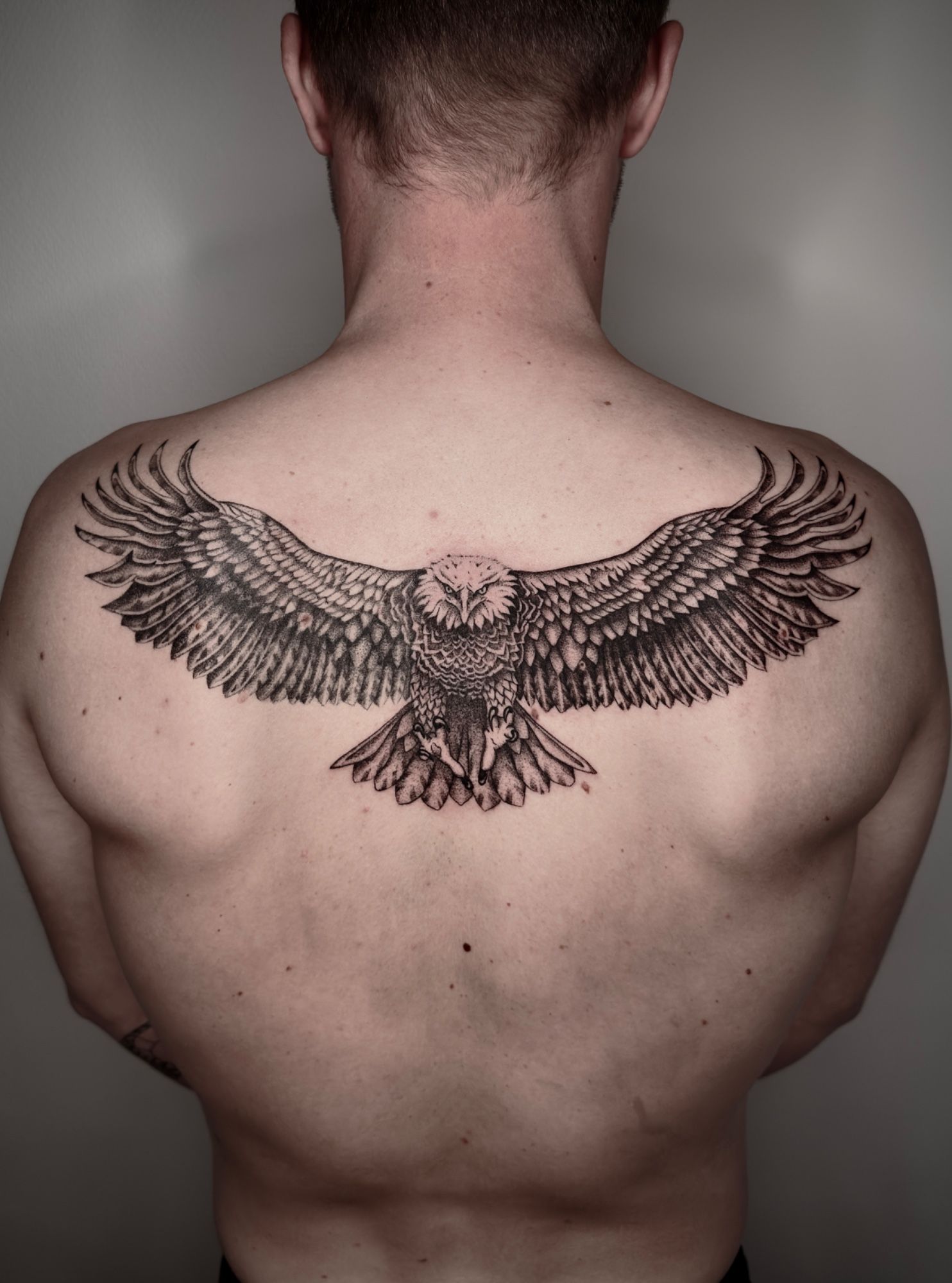 Adler im Fineline Style auf Rücken von Eagle Ink in Freiburg Breisgau