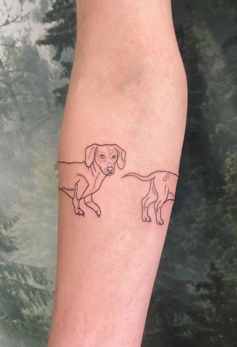 Armband tattoo with dachshund motif in fine line style on forearm