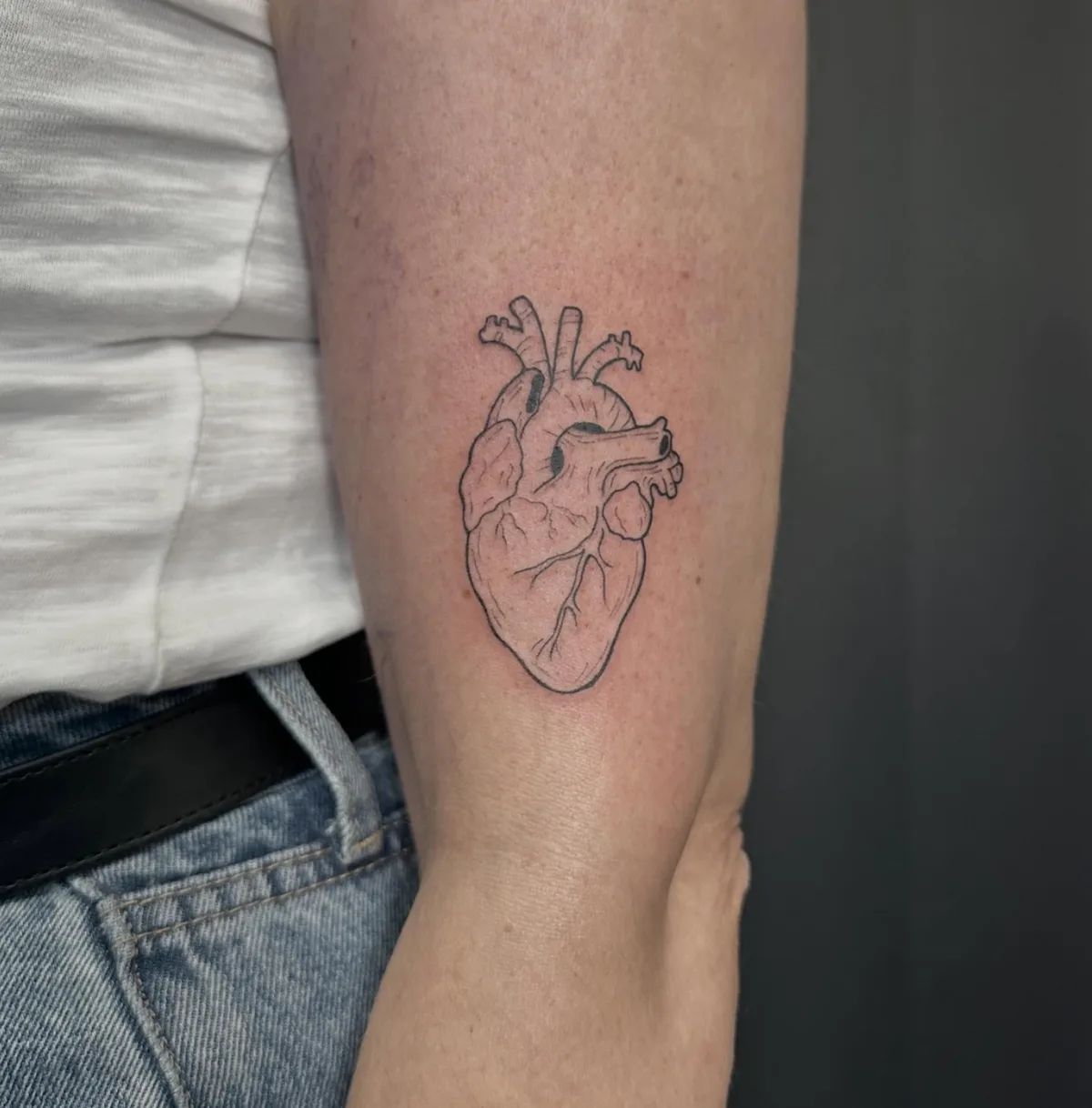 Anatomical heart fine line tattoo on upper arm