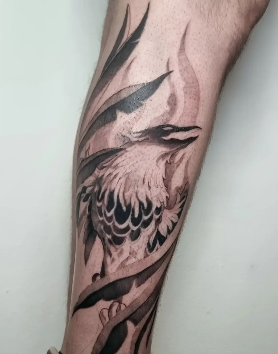 Blackwork phoenix tattoo on leg