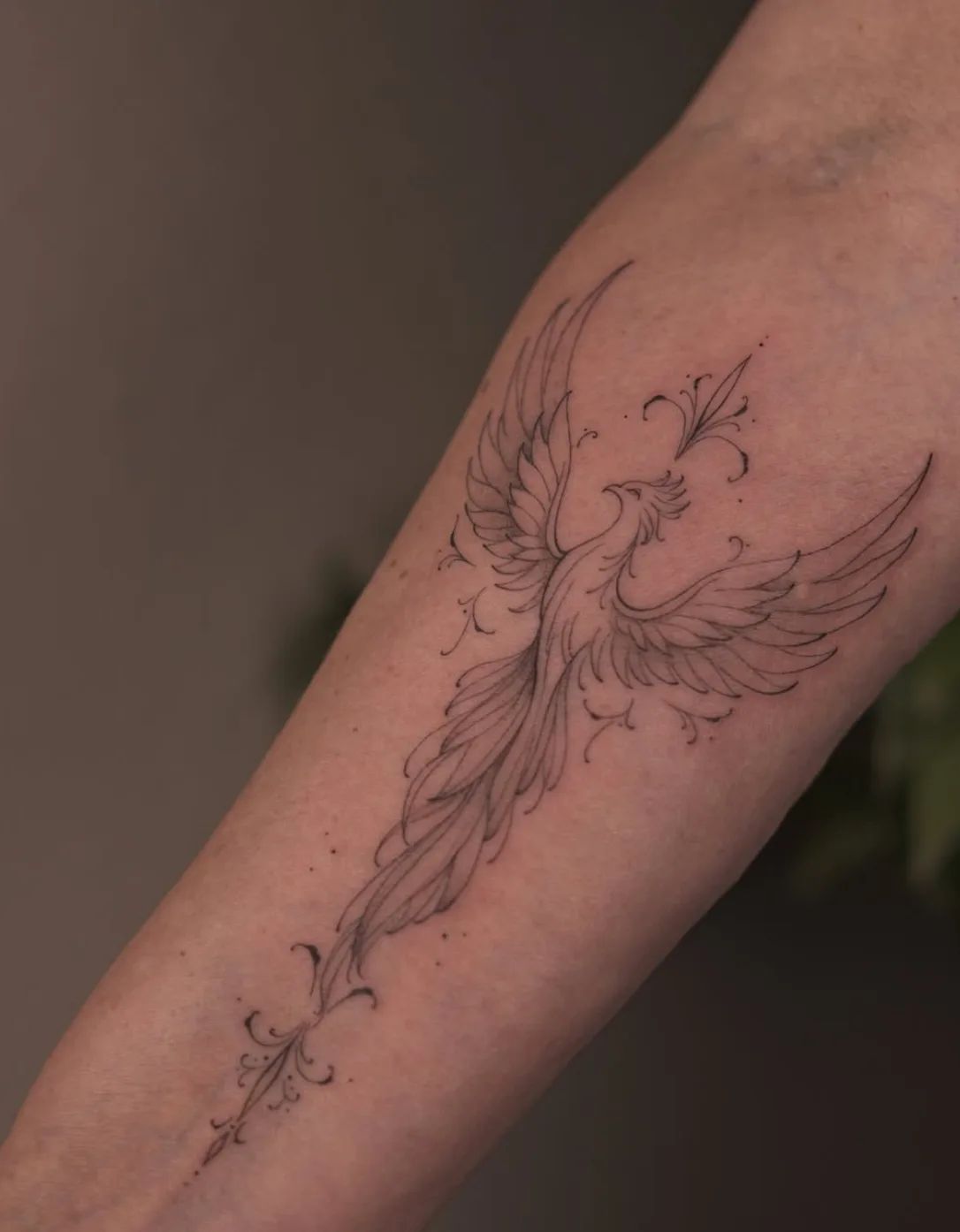Fine line phoenix tattoo on forearm