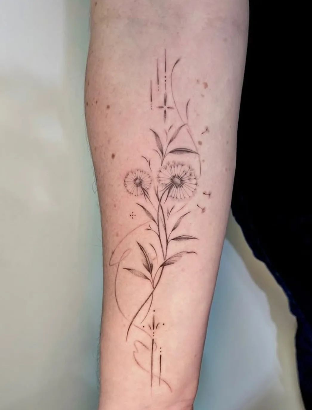 Dandelion fine line tattoo on forearm