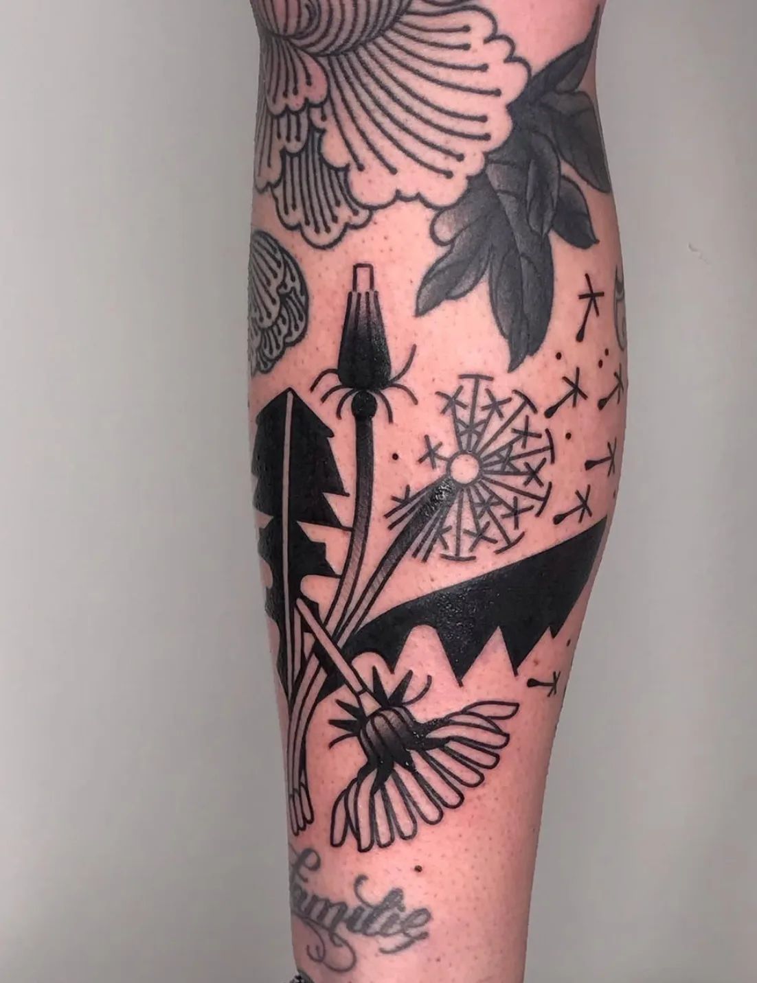 Dandelion tattoo in traditional style on lower leg