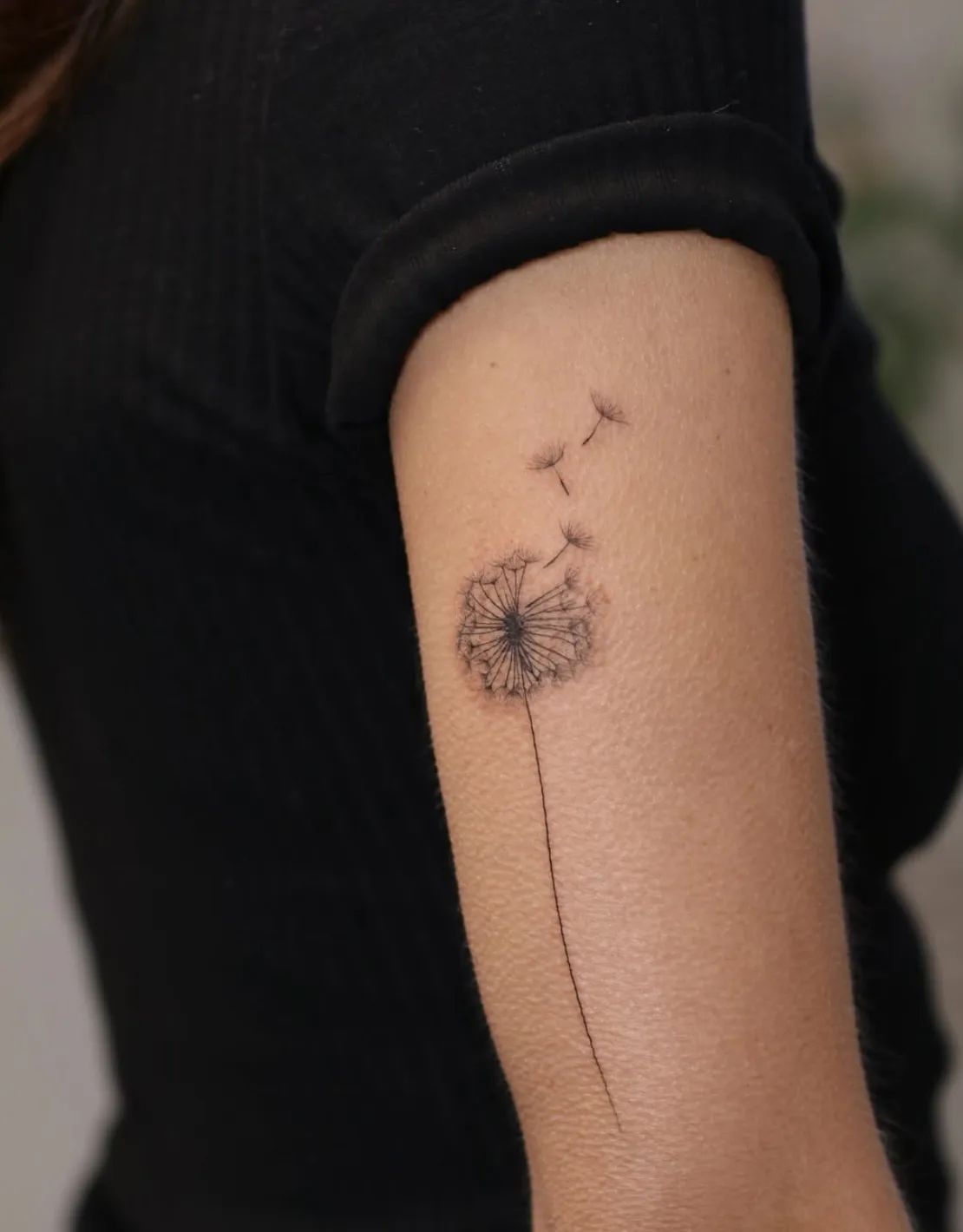 Dandelion fine line tattoo on upper arm