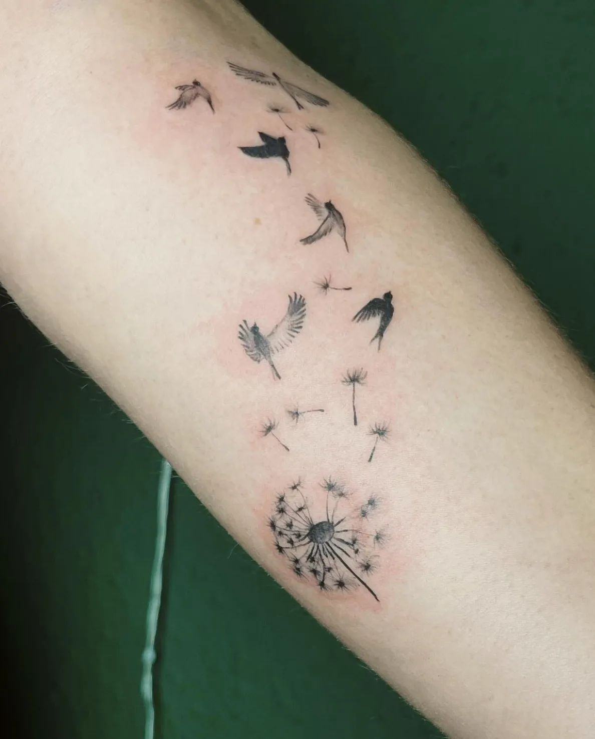 Dandelion tattoo with flying birds and seeds in fine line style on forearm