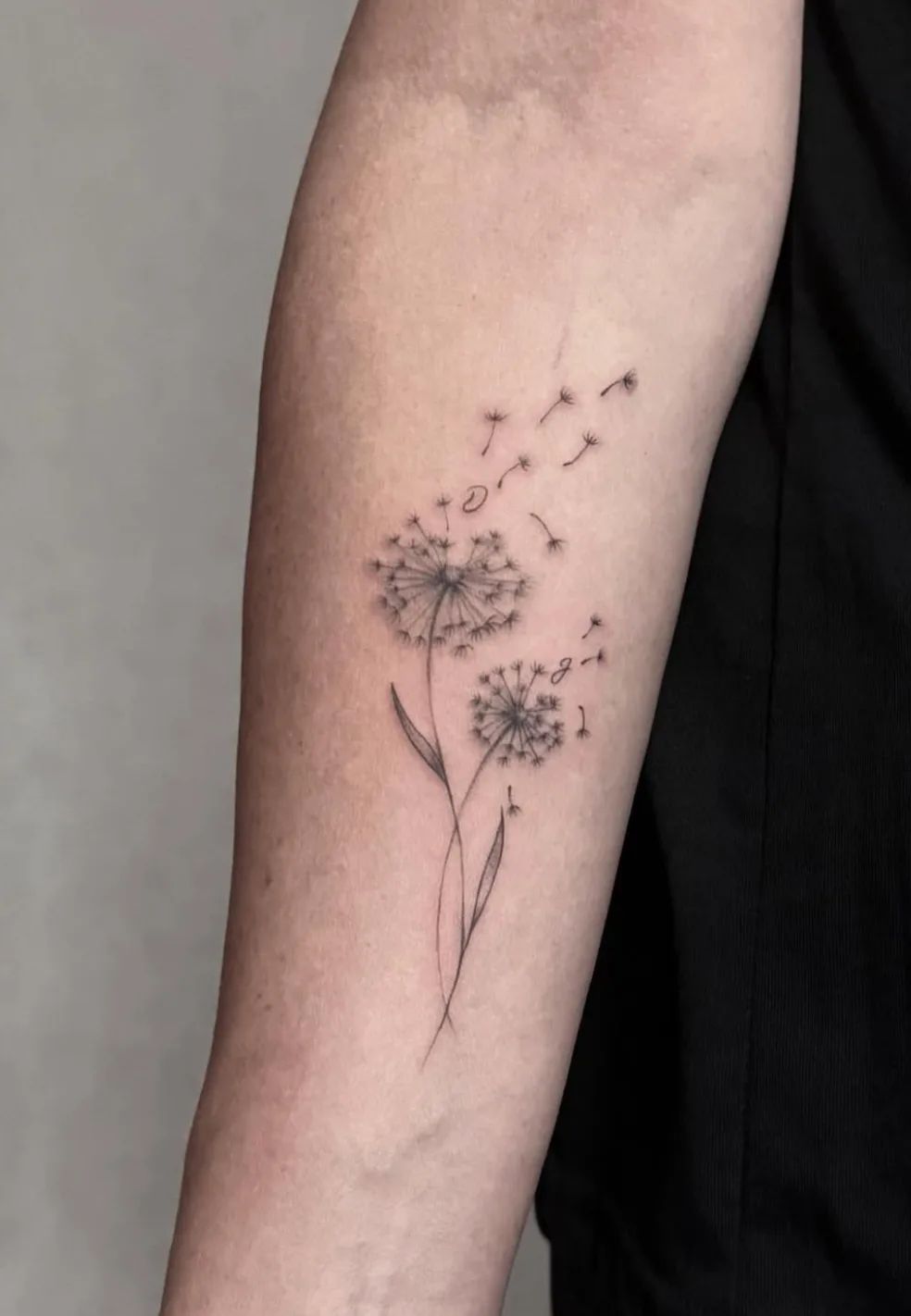 Dandelion tattoo in fine line style on forearm