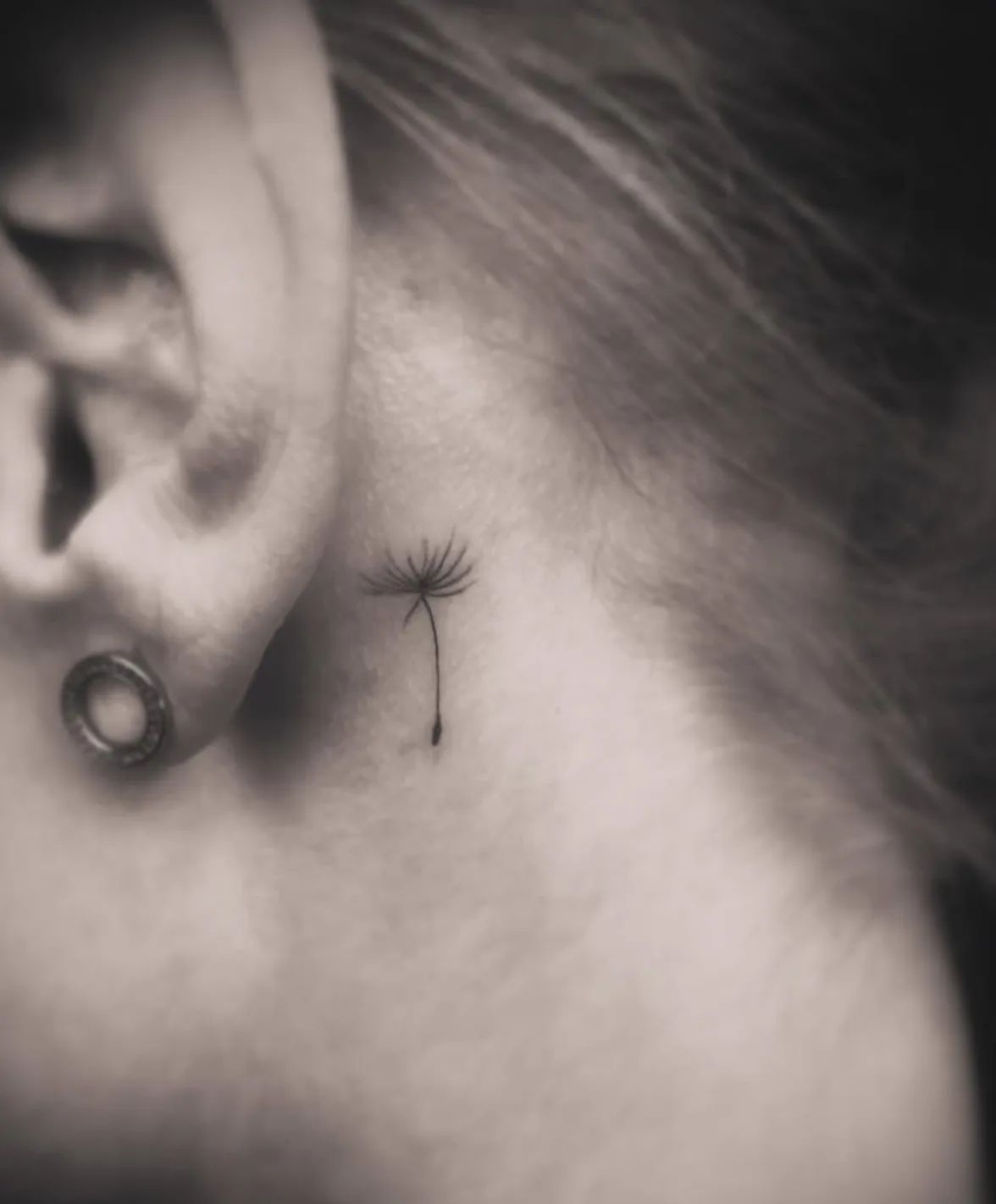 Fine line dandelion tattoo behind the ear