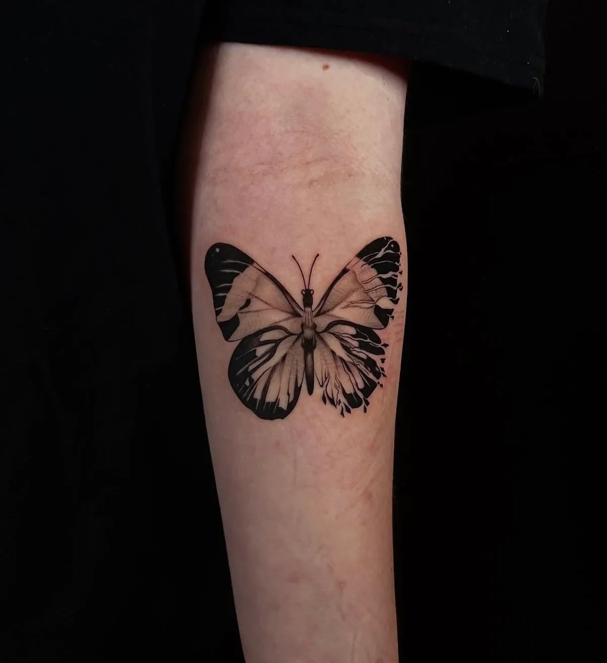 Realistisches Schmetterling Tattoo in Schwarz-Grau am Unterarm