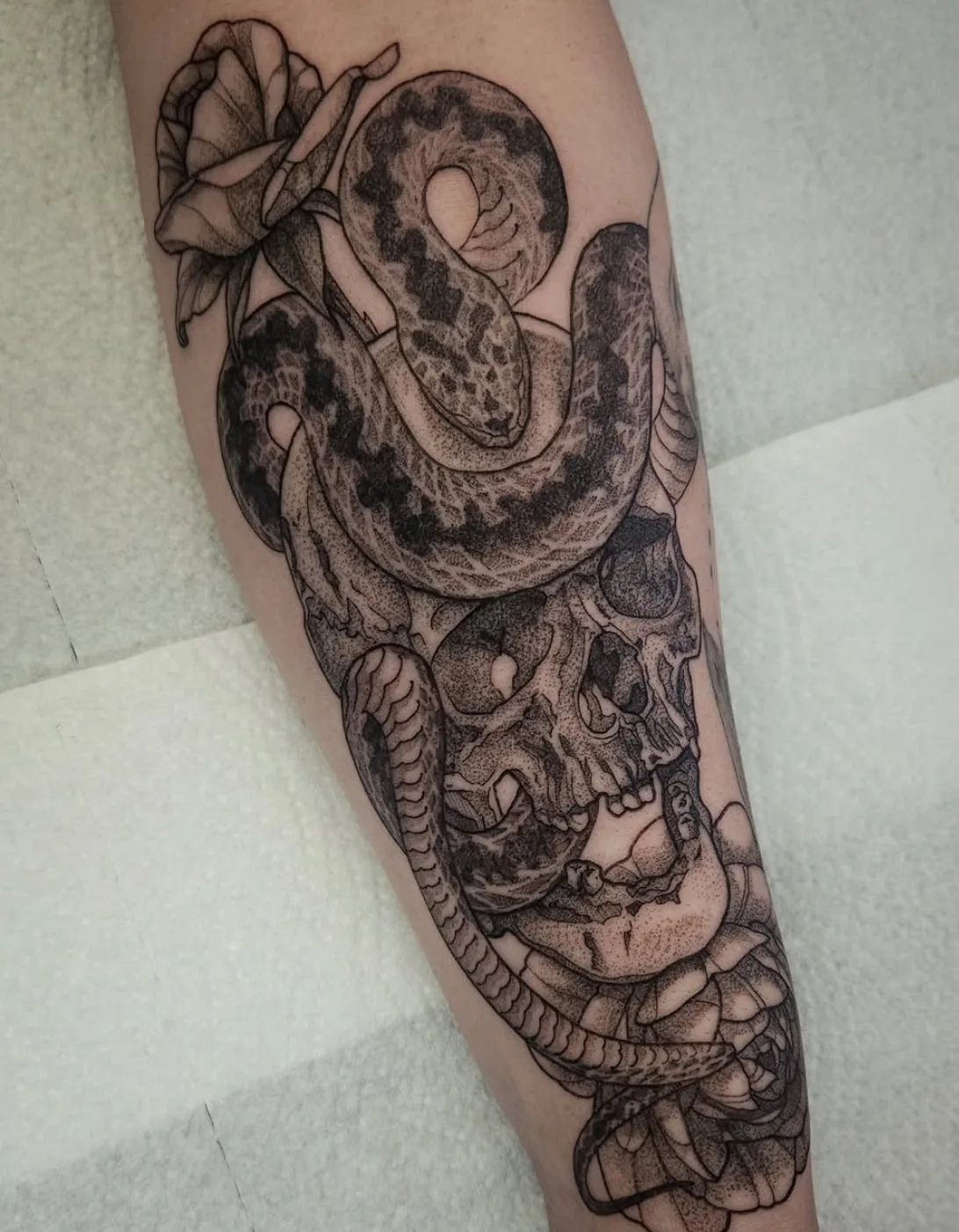 Skull tattoo with snake and rose in dotwork style on forearm